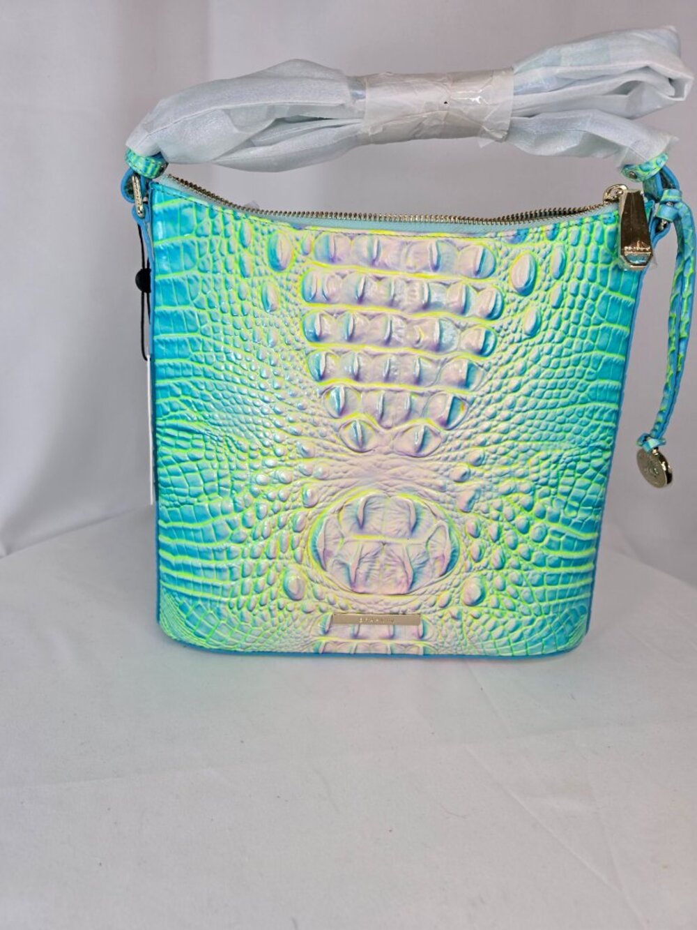 Brahmin Katie Cotton Candy Ombre Melbourne Leather Crossbody New